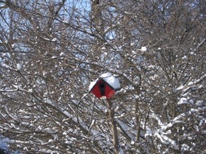 Merry Christmas fro our house to yours